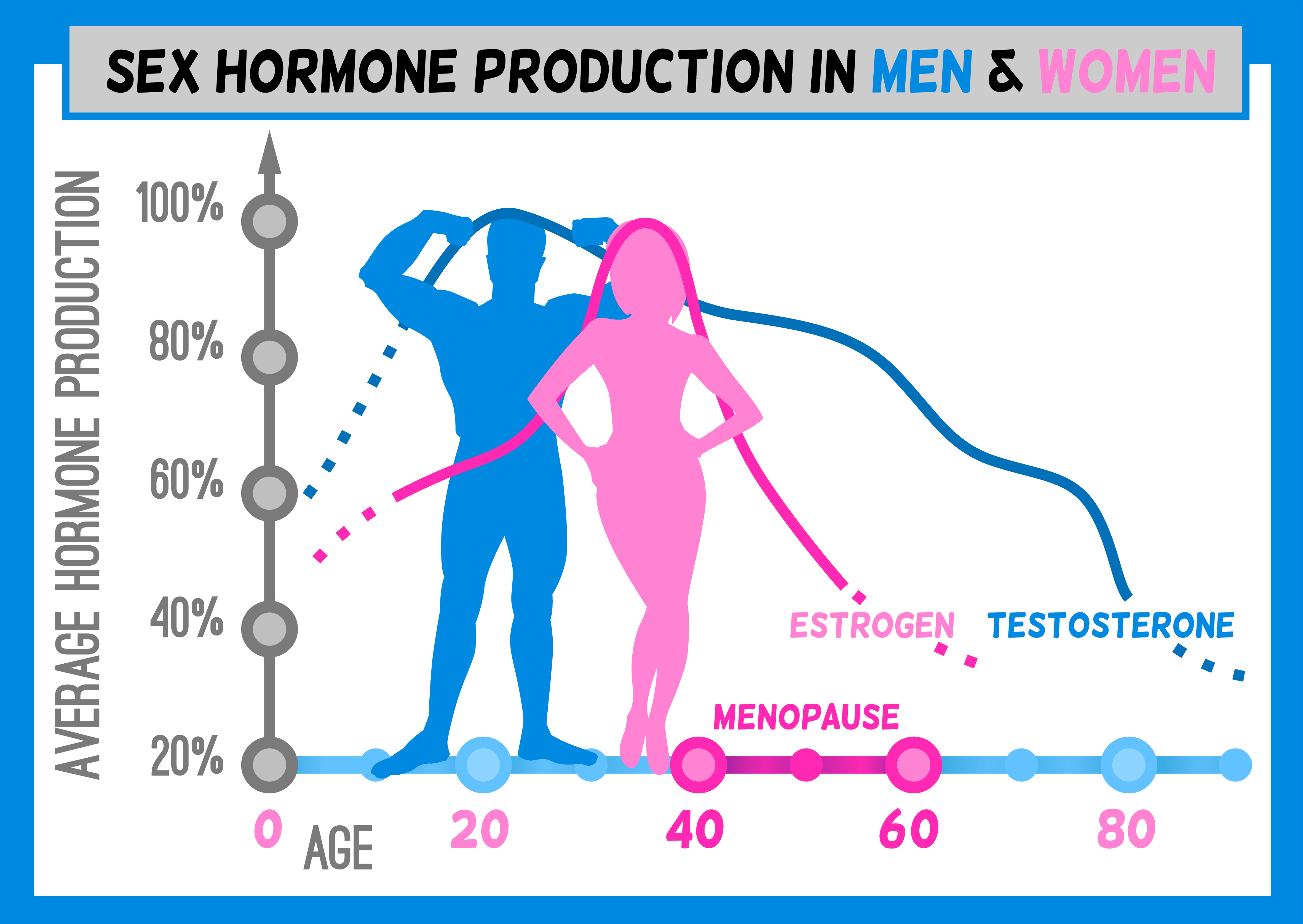CBD And Balancing Hormones Dutch CBD Farmers